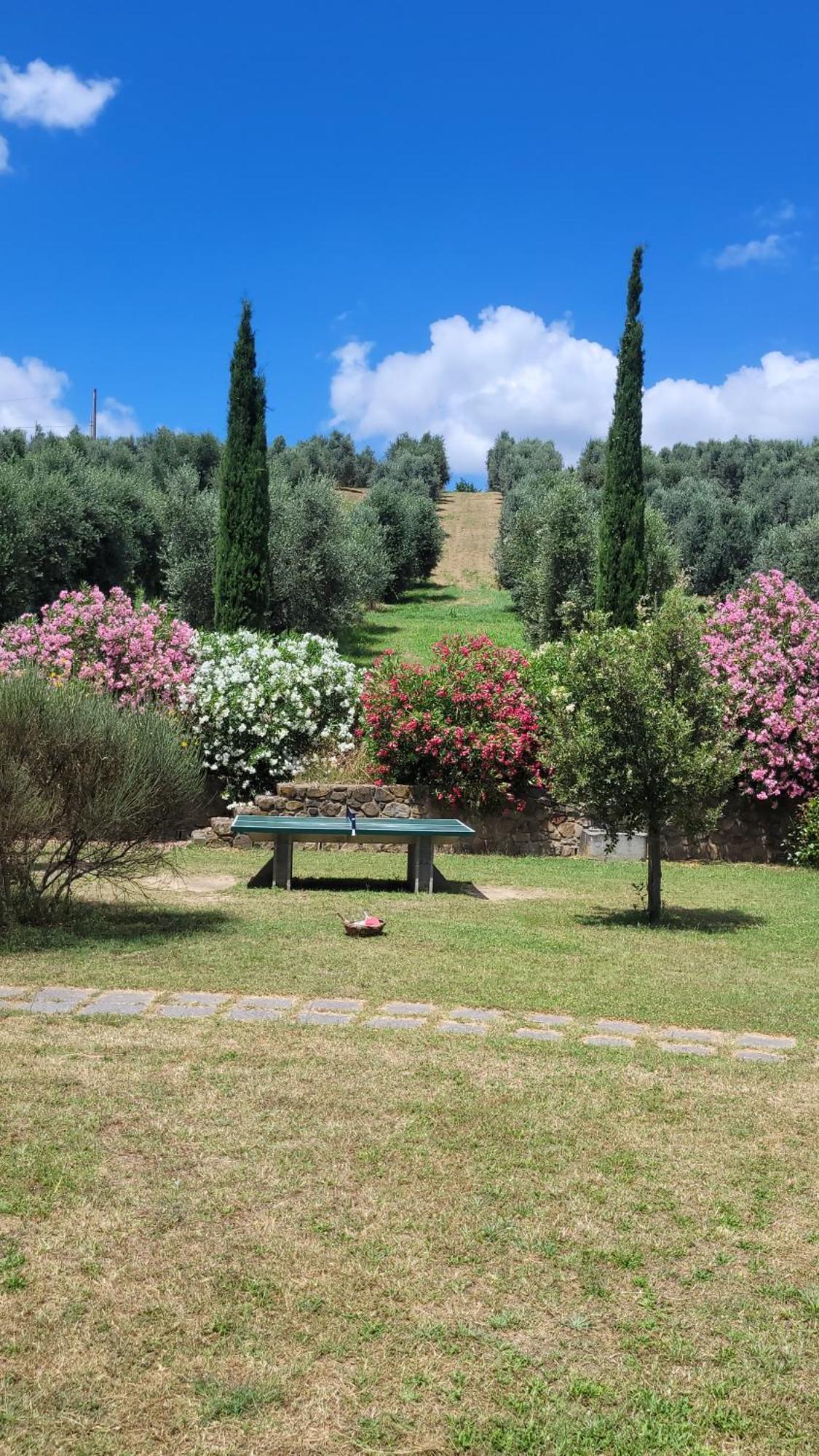 Agriturismo Podere Casalone Limite Kültér fotó