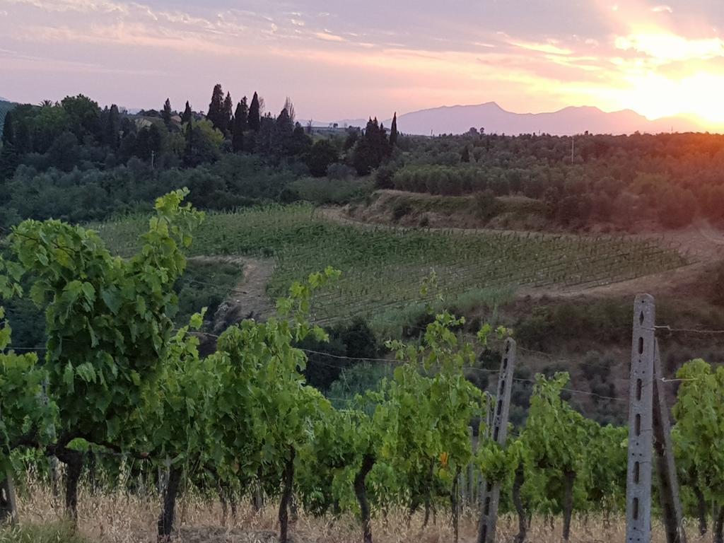 Agriturismo Podere Casalone Limite Kültér fotó